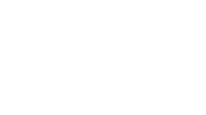 Referentie 2